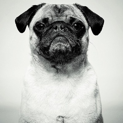 2018-09-07 23.06.06 1863669734365746039_1390725743